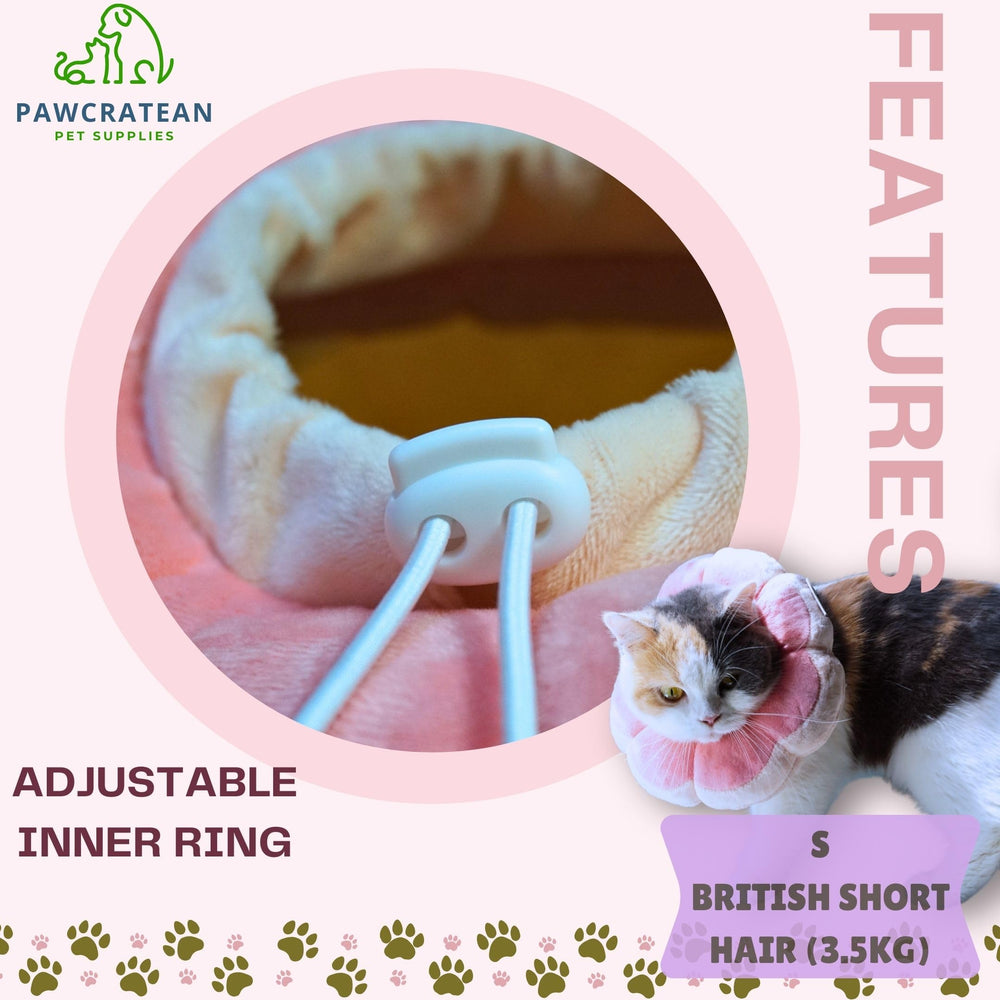 Pawcratean collar Isabelino protección posquirúrgica para heridas