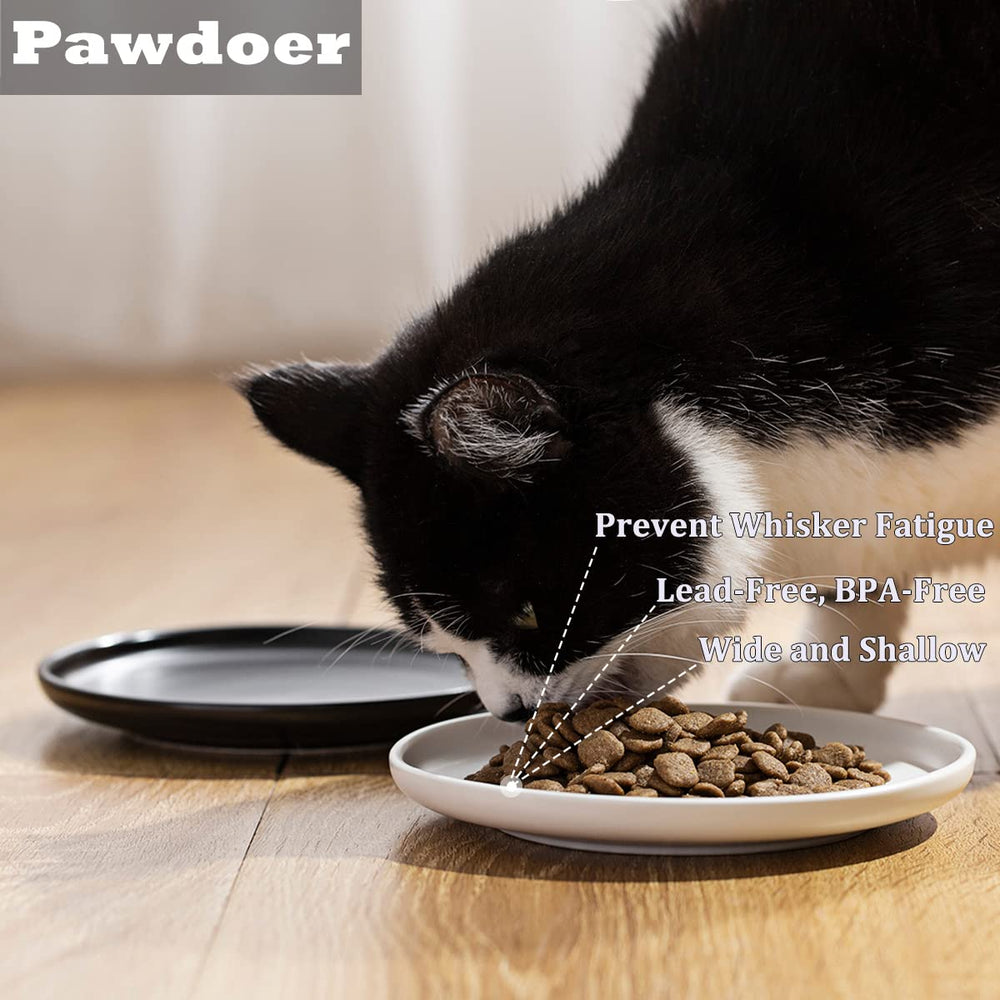 Pawdoer platillo anti-fatiga de bigotes en cerámica, perfecto para gatitos sensibles.