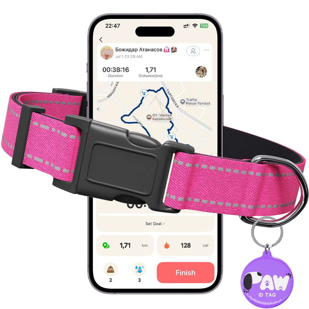 Pawduct Collar Reflectivo 360°, mayor visibilidad para paseos nocturnos seguros.