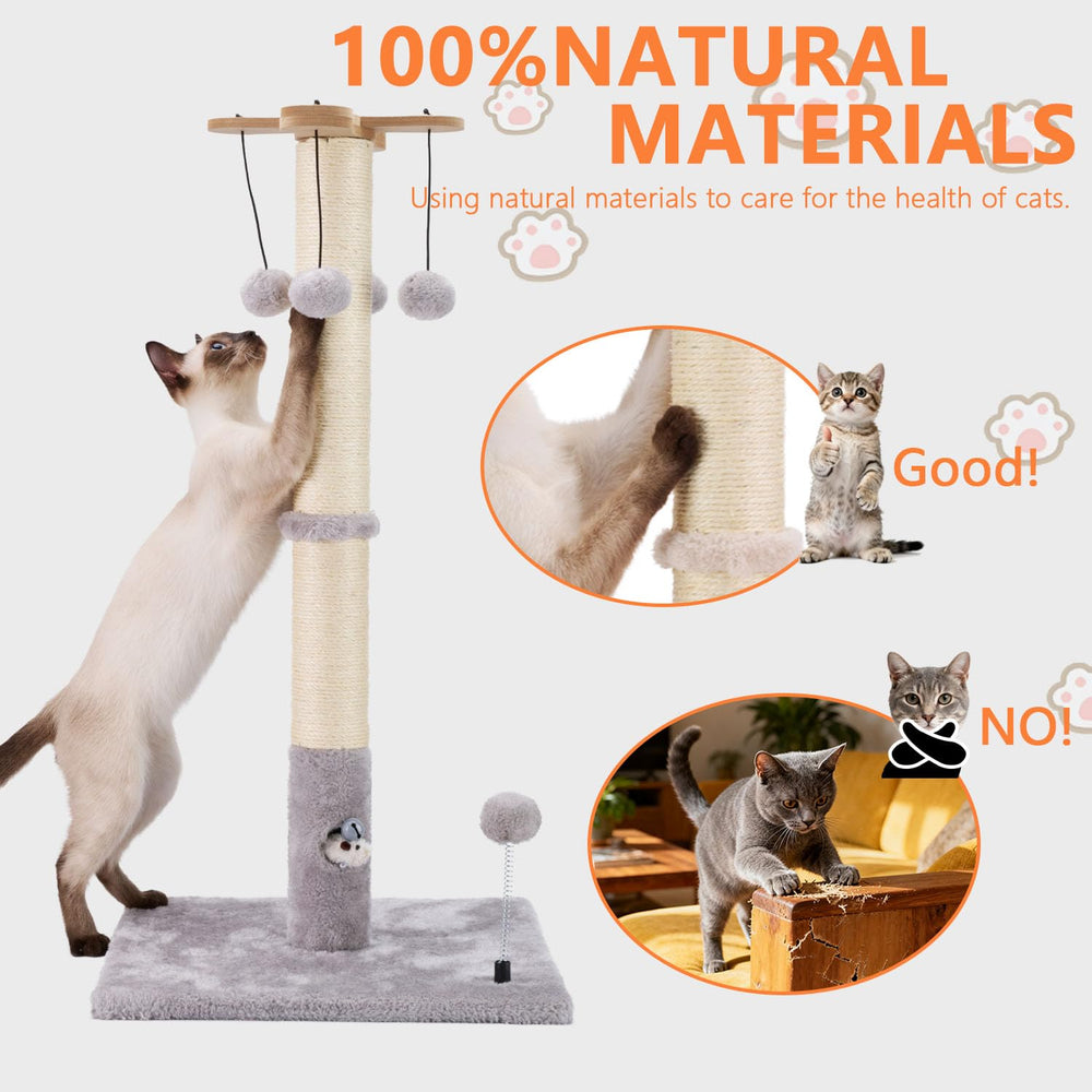 PAWSFANS altura de 30 pulgadas, ideal para gatos adultos y gatitos