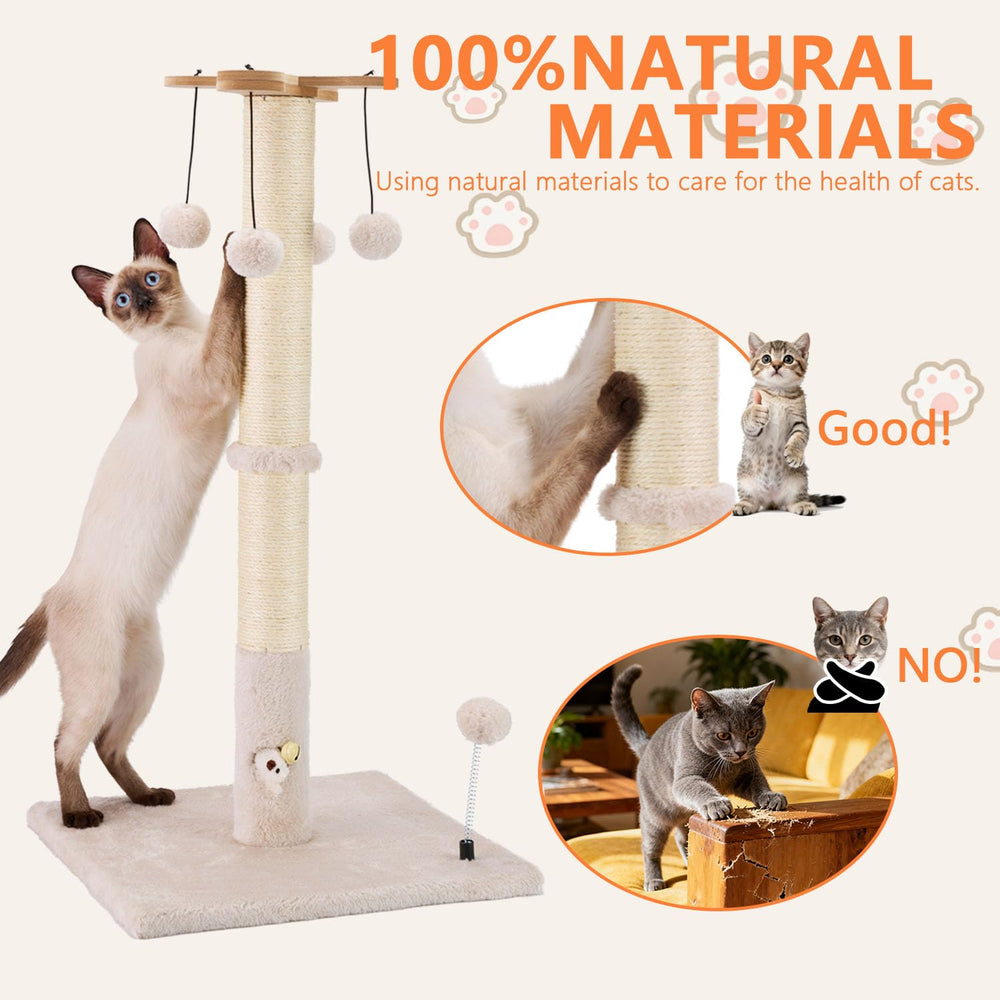 PAWSFANS base estable cuadrada de 40 cm para uso seguro
