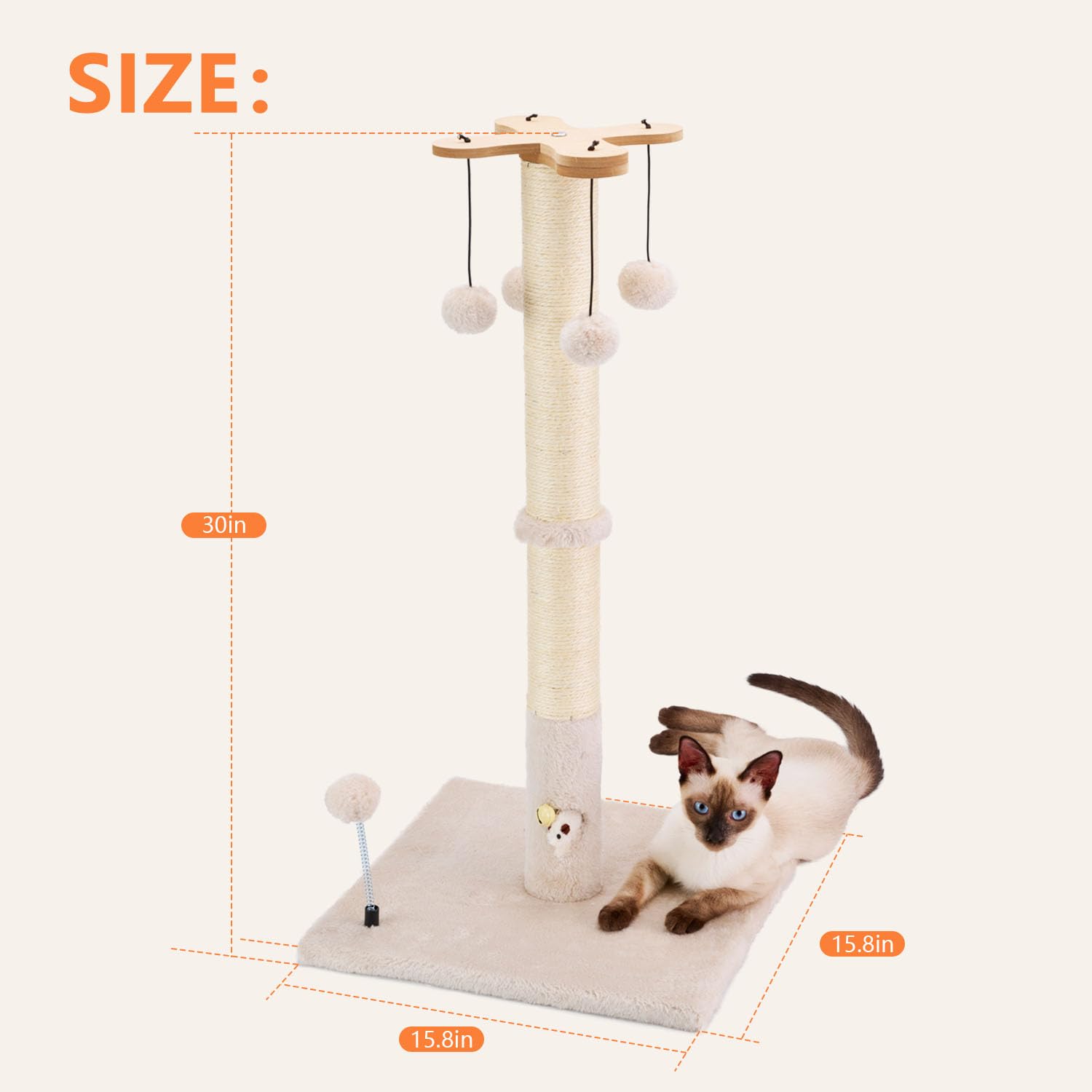 PAWSFANS diseño árbol para gatos, estructura estable y divertida para trepar