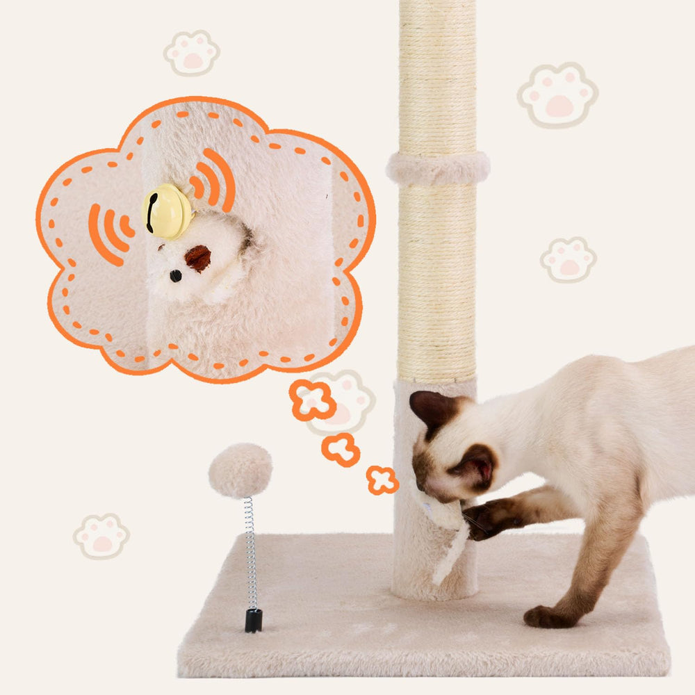 PAWSFANS cuatro bolas colgantes, estímulo de juego interactivo para gatos