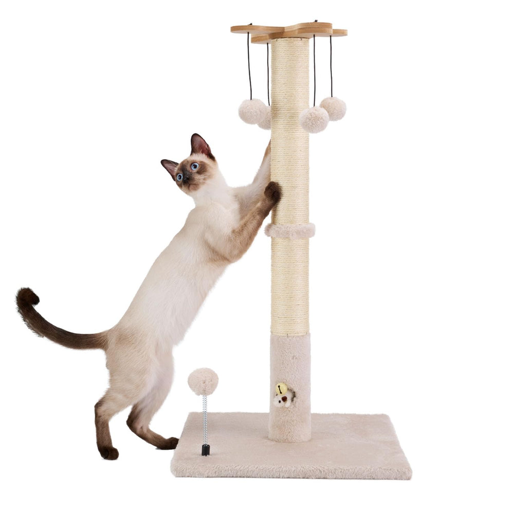 PAWSFANS uso en interiores, montaje flexible en dos modos