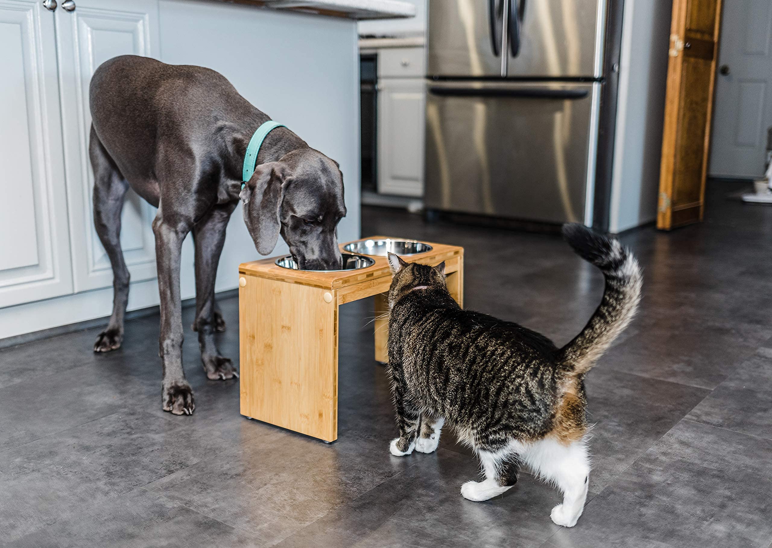 Pawfect Pets diseño anti-derrame con base estable.