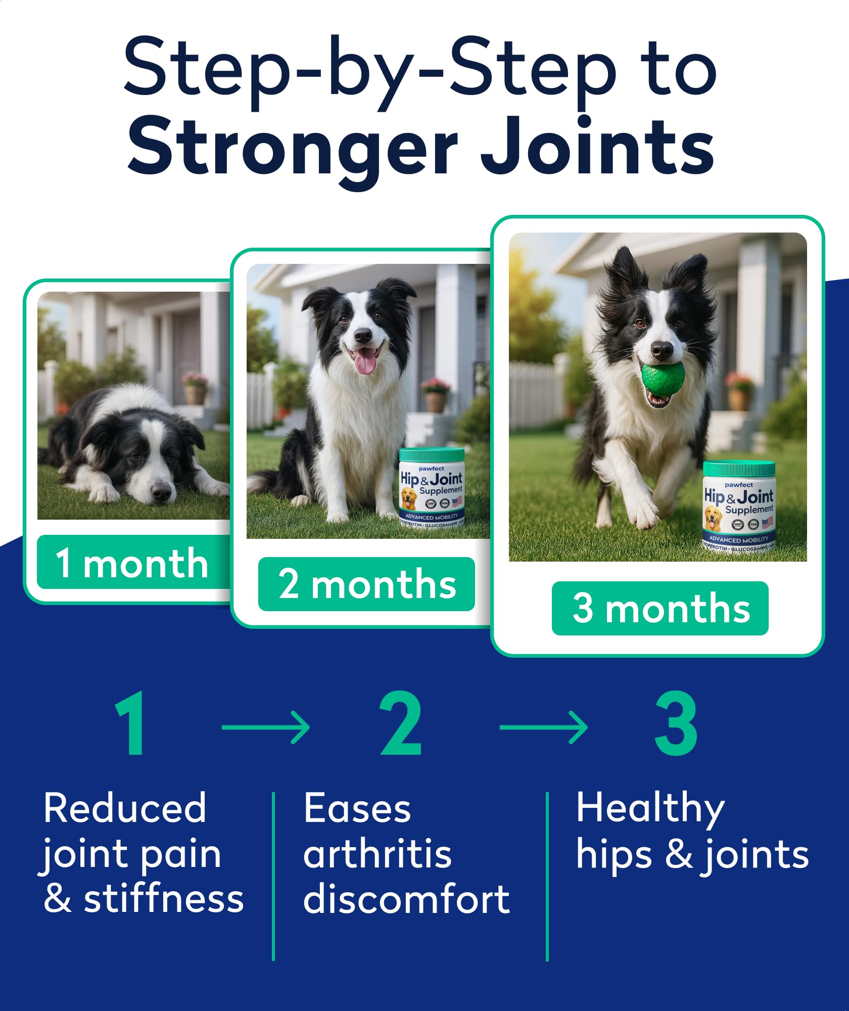 PAWFECTCHEW perro caminando con masticables, posible mayor confort articular.