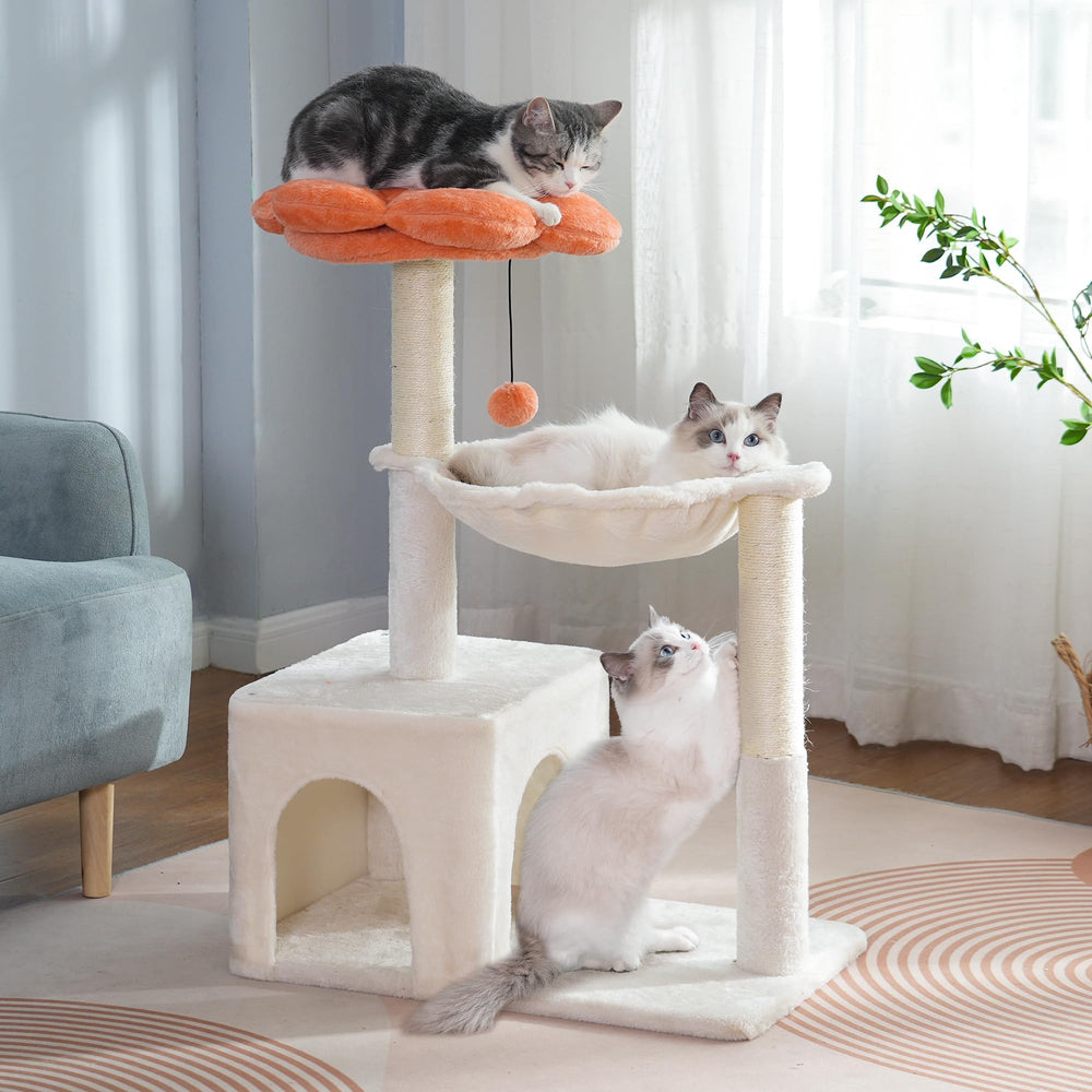 Pawfessor arbol-gato-flor-bola-colgante, juego interactivo para caza.