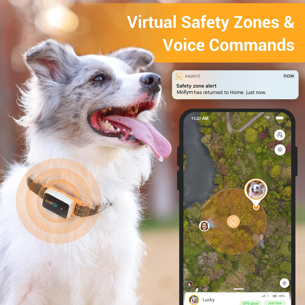 Pawfit alertas de seguridad y localización para mayor tranquilidad.