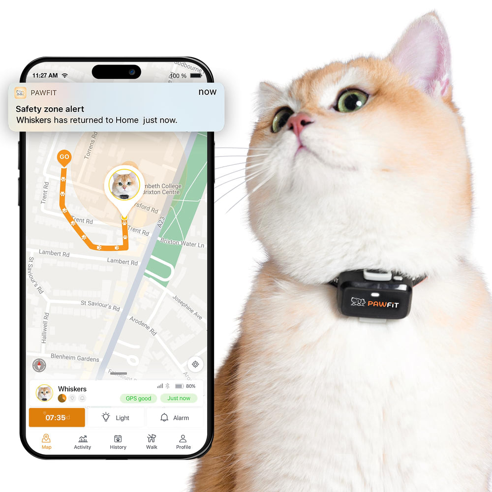 Pawfit Lite localizador GPS 4G para gatos con ubicación en tiempo real en la app.