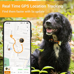 Pawfit llamada de voz para traer de vuelta al perro cuando no ves.