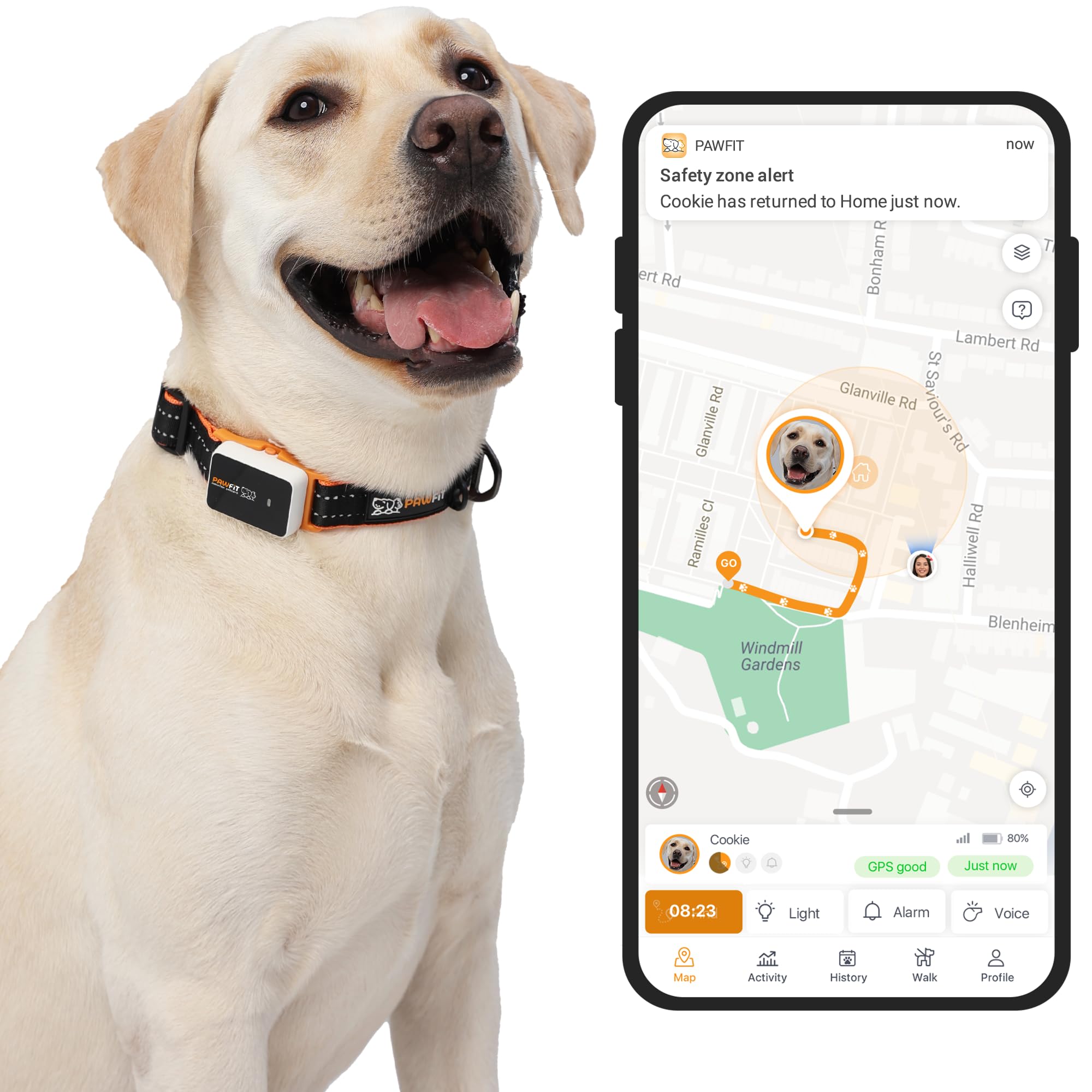 Pawfit rastreador GPS 4G en vivo para perros con ubicación en tiempo real.