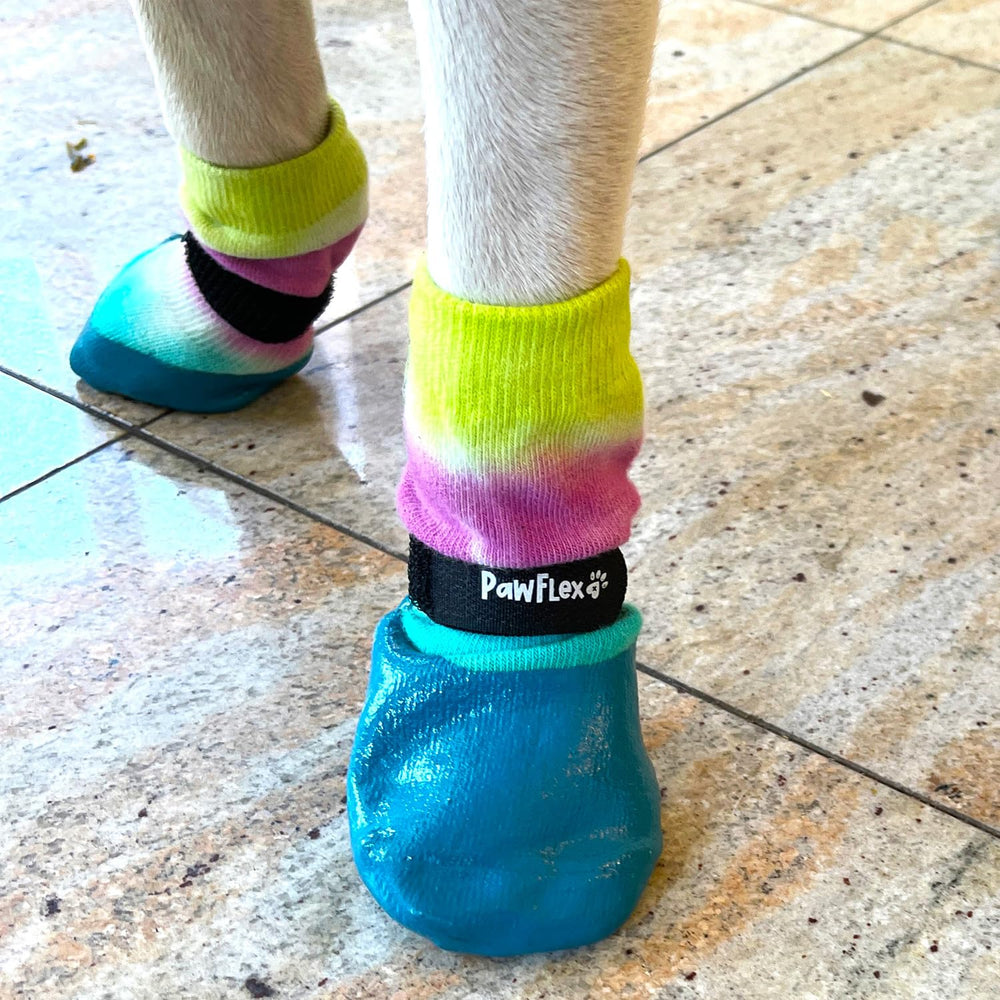 PawFlex ayuda a la movilidad de perros senior con agarre estable.
