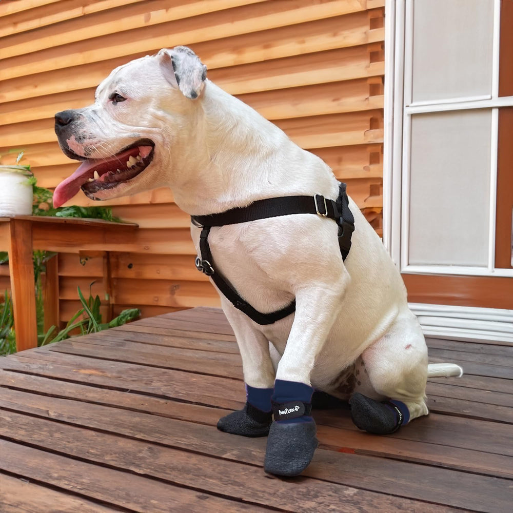 PawFlex Comfy Pawz durabilidad y elasticidad para movilidad