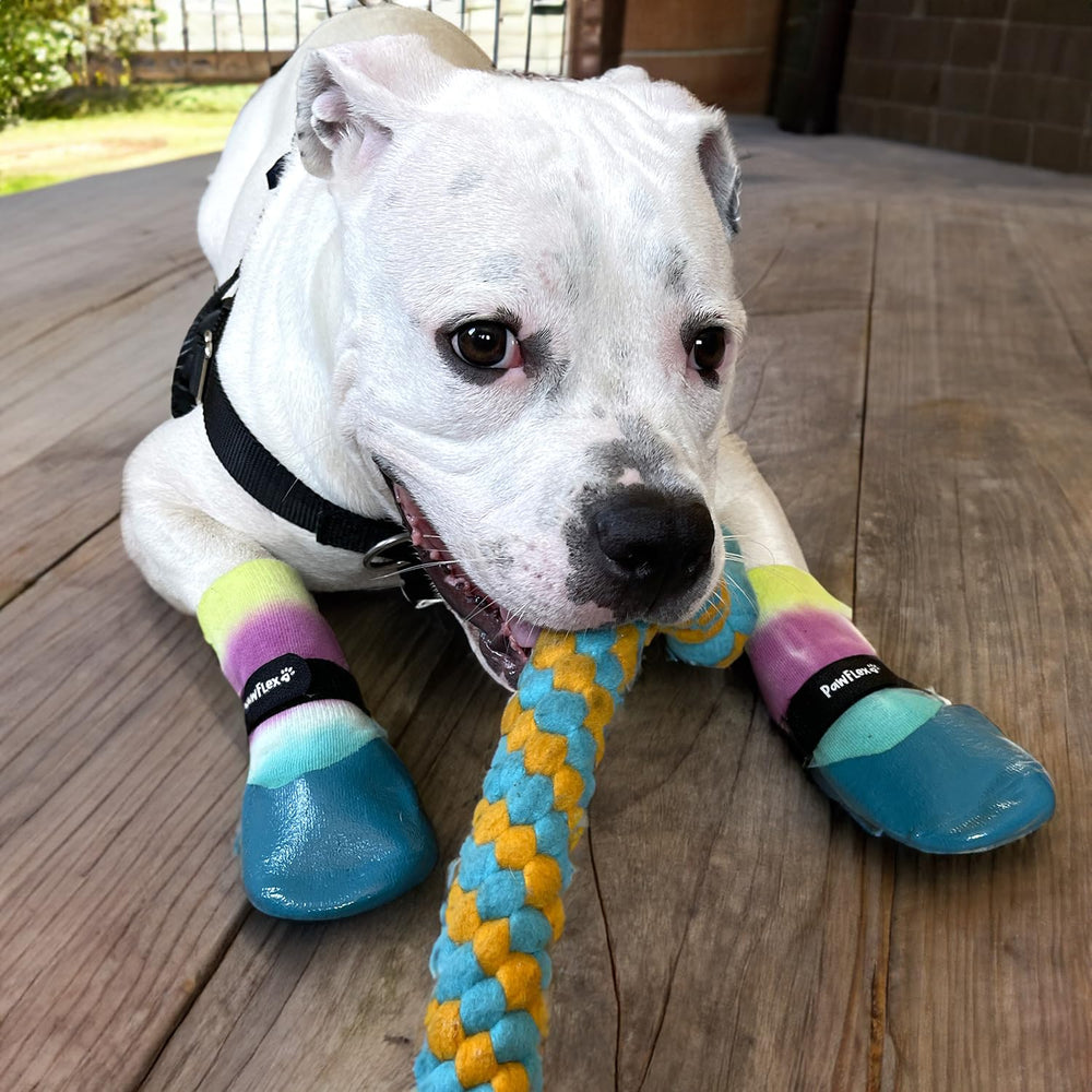 PawFlex diseño cómodo y elástico para ajuste perfecto.