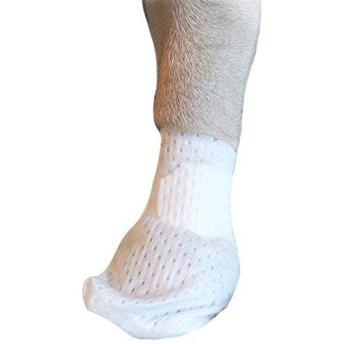 PawFlex Medimitt: banda de pata con ajuste seguro para mayor comodidad.