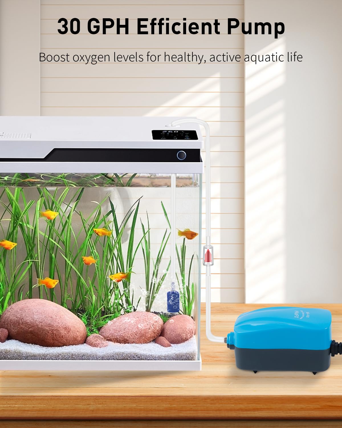 Pawfly depósitos de almacenamiento para crías temporales