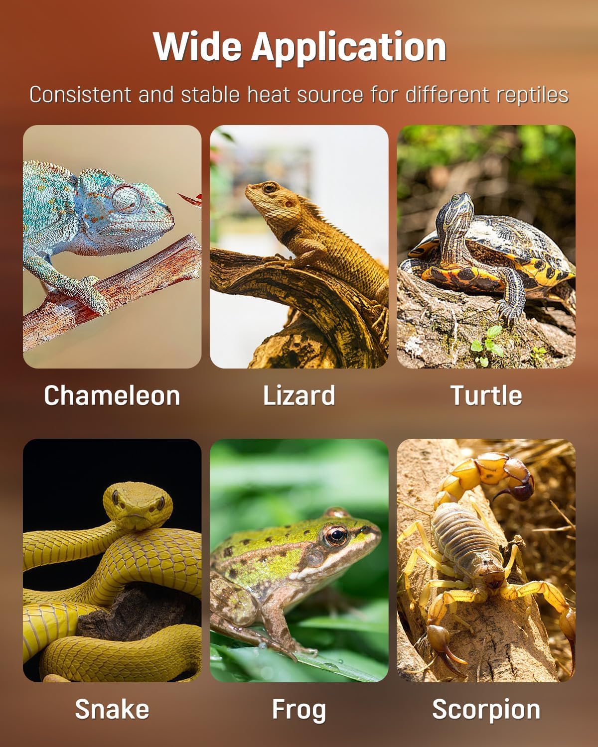Pawfly aplicación amplia para tortugas y plantas