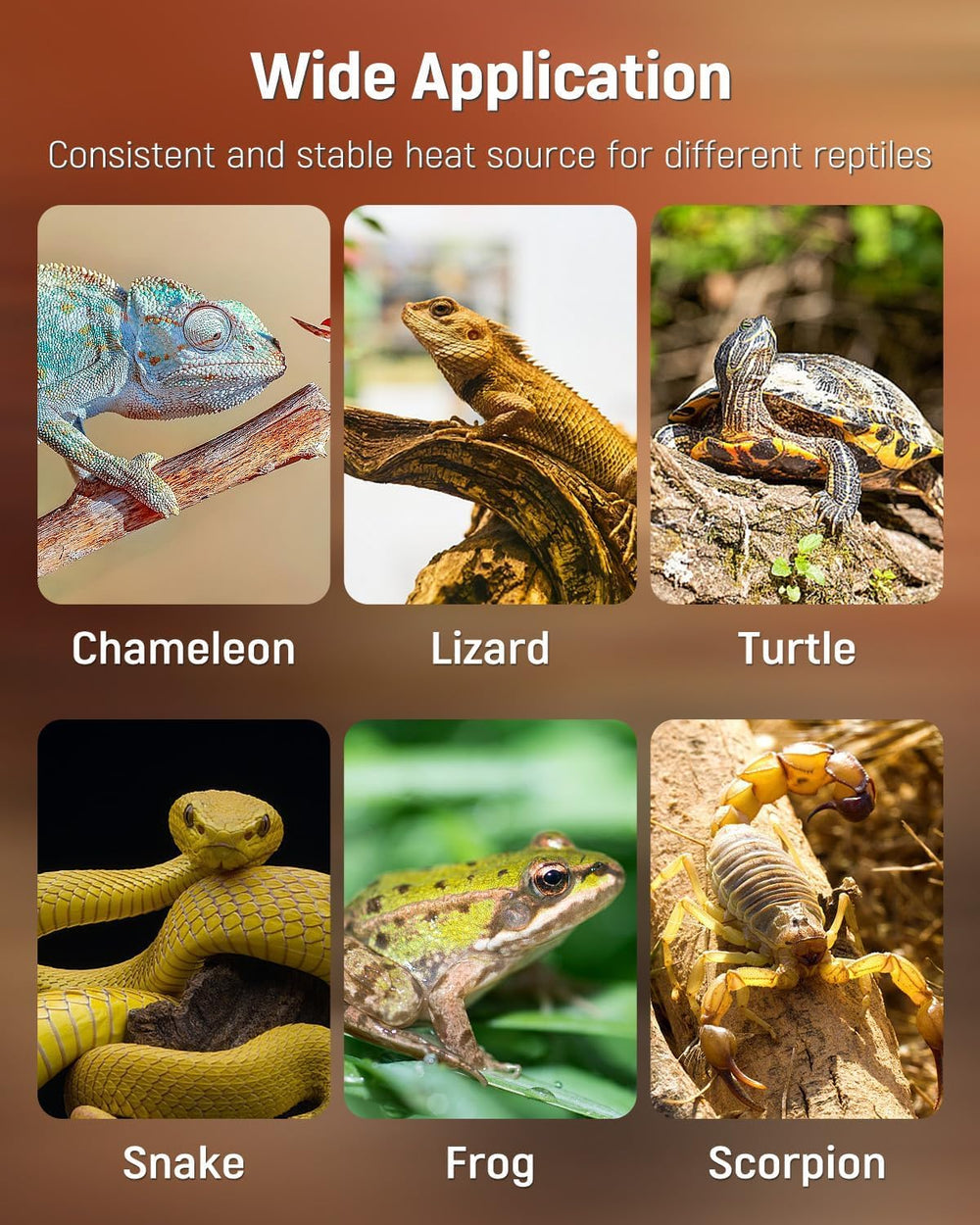 Pawfly aplicación amplia para tortugas y plantas