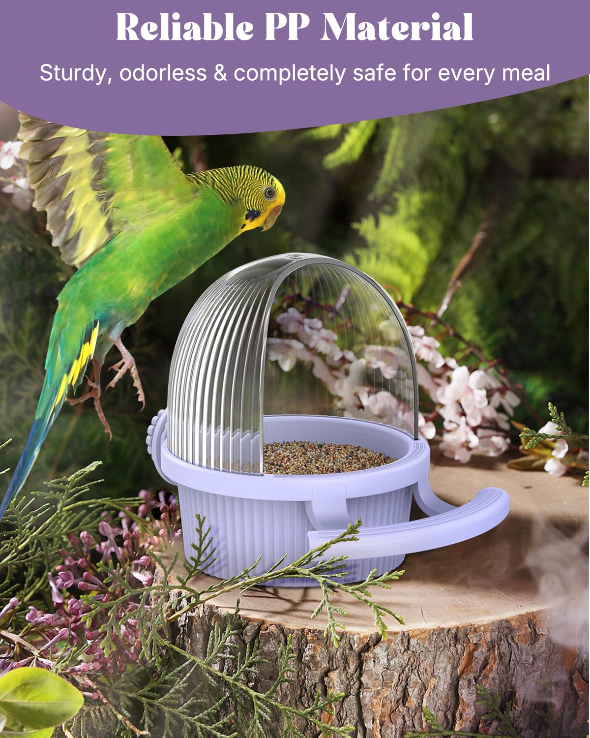 Bebedero Pawfly dos en uno para comida y agua en un solo lugar