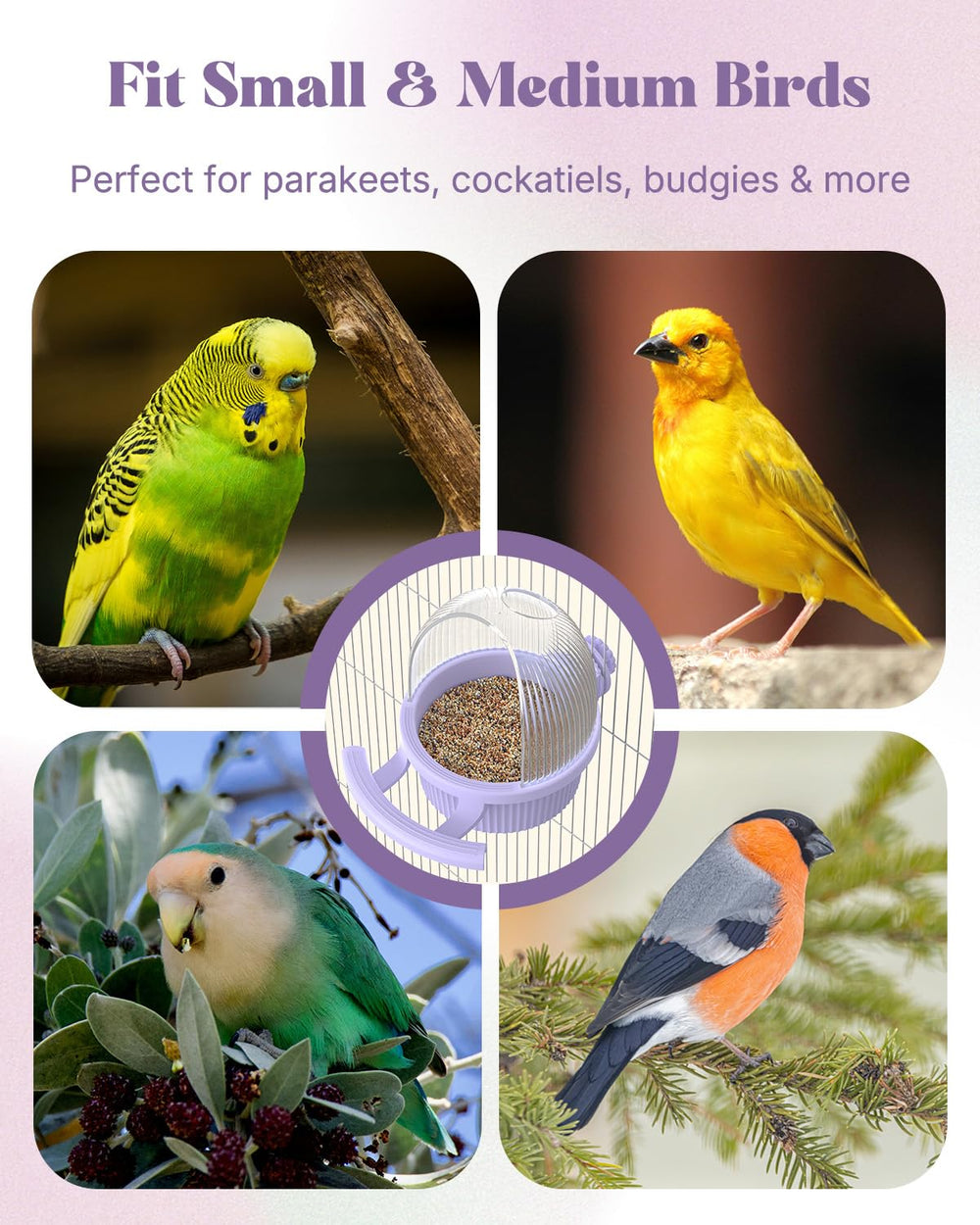 Pawfly bebedero apto para aves pequeñas y medianas en jaula