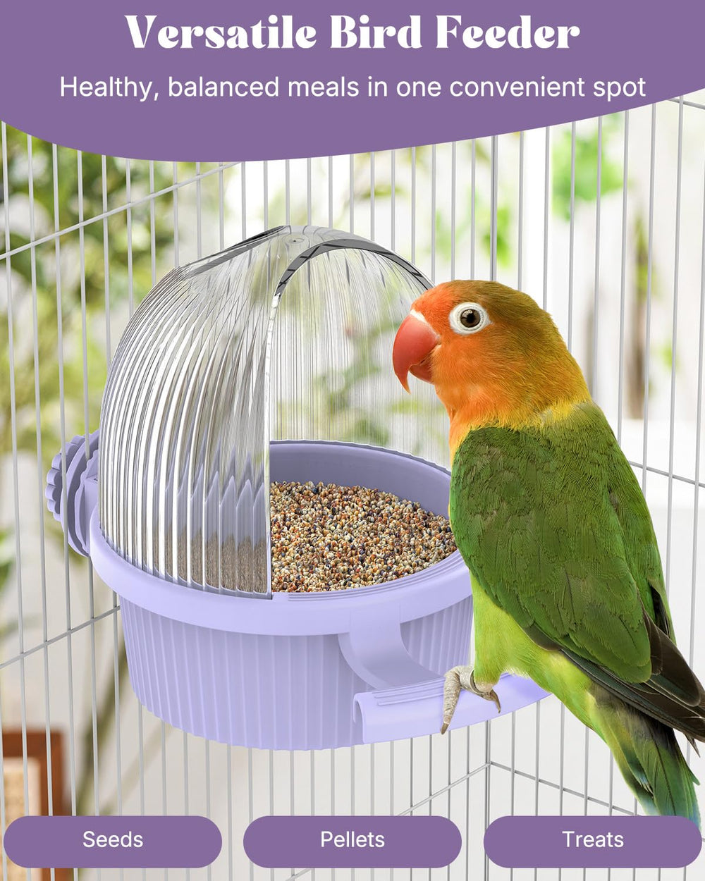 Pawfly bebedero PP resistente y duradero para mascotas