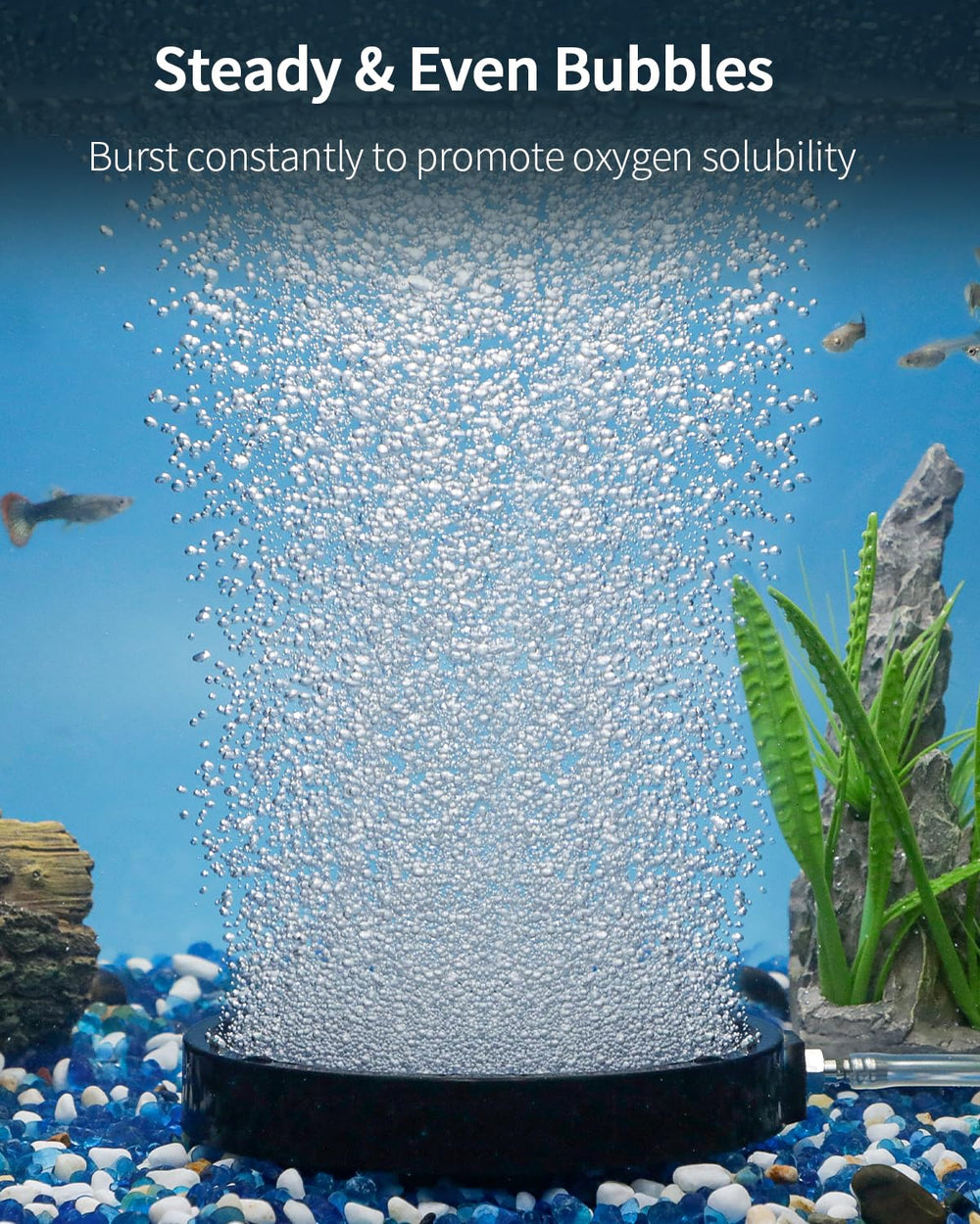 Pawfly disco de aire de 5 pulgadas con burbujas densas para oxigenación.