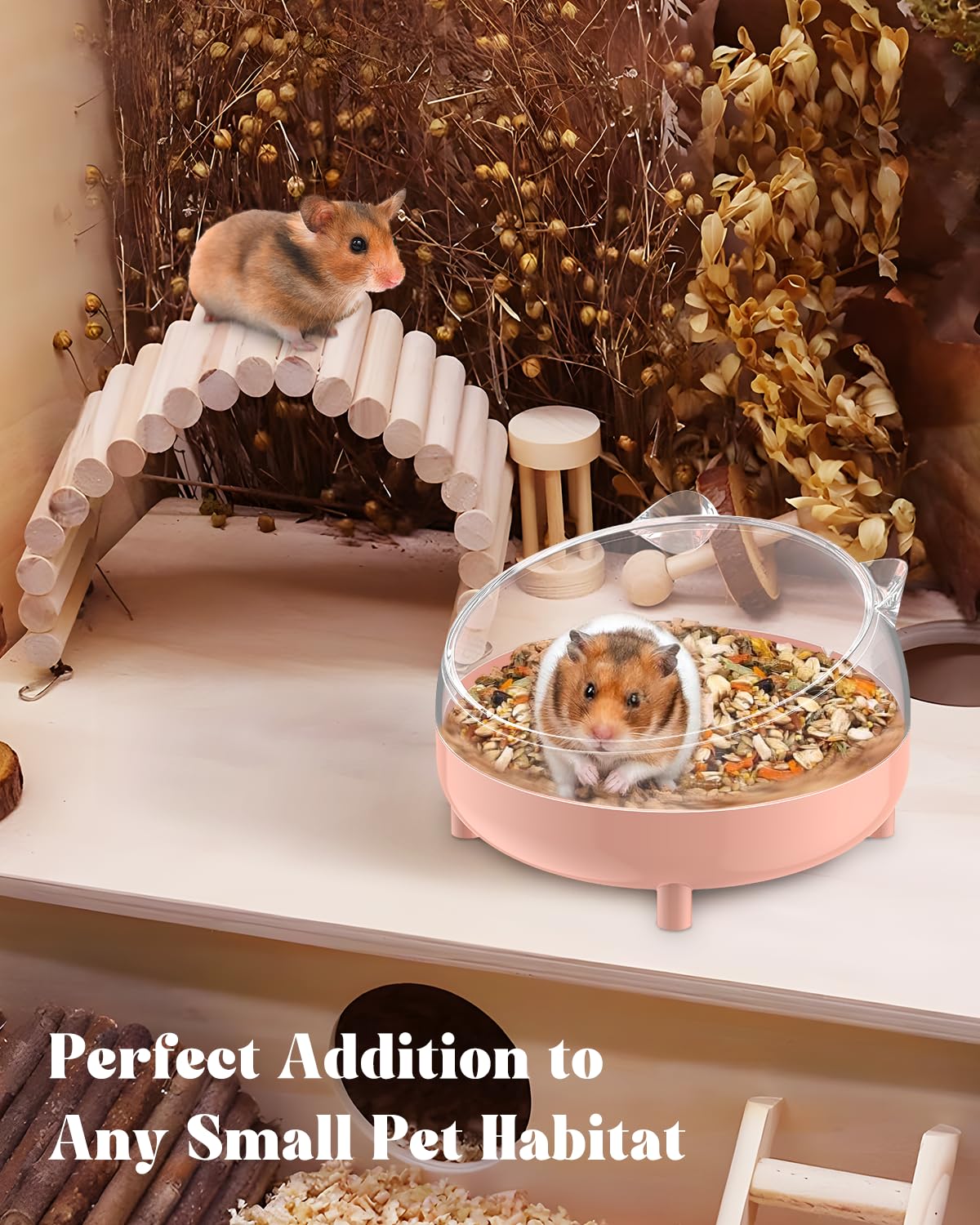Pawfly facilita baño natural y enriquecimiento para mascotas pequeñas