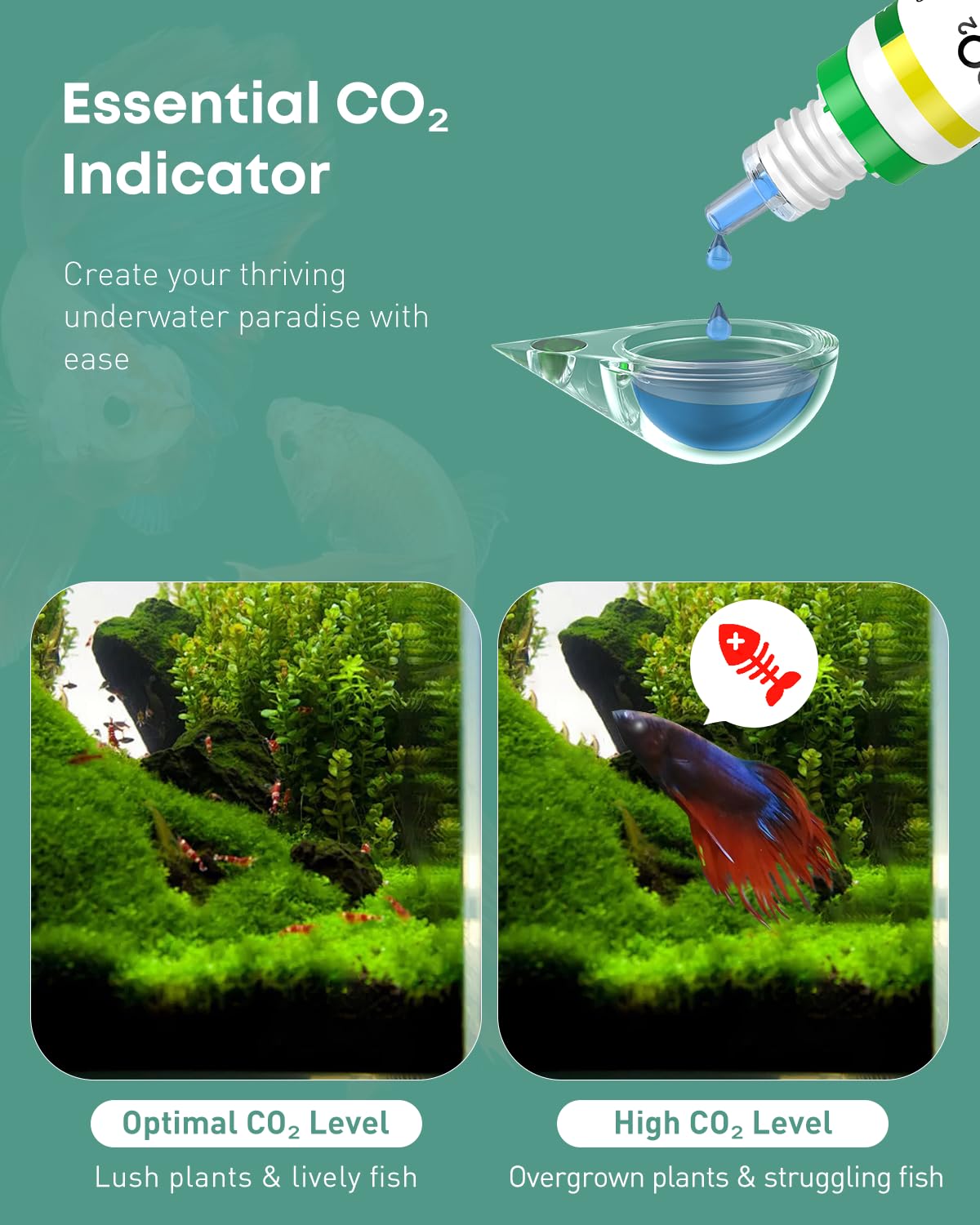 Pawfly instrucciones seguras: uso vertical para mayor precisión.