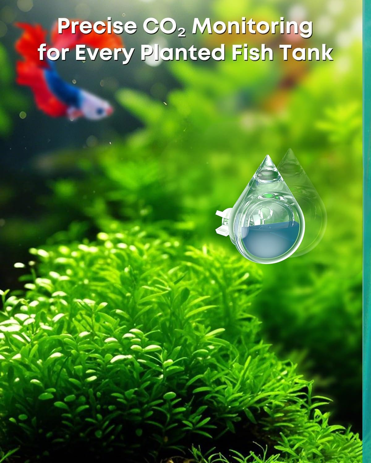 Pawfly lectura de color CO2: balance óptimo para crecimiento de plantas.