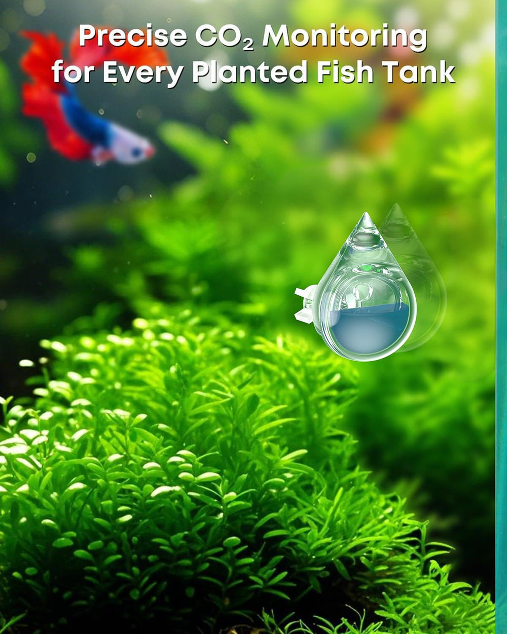 Pawfly lectura de color CO2: balance óptimo para crecimiento de plantas.