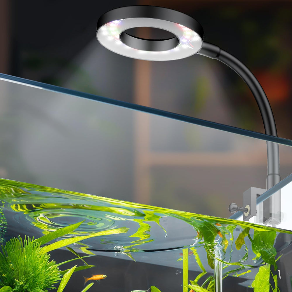 Pawfly luz led para acuario clip 6W ilumina tanque compacto con encendido suave