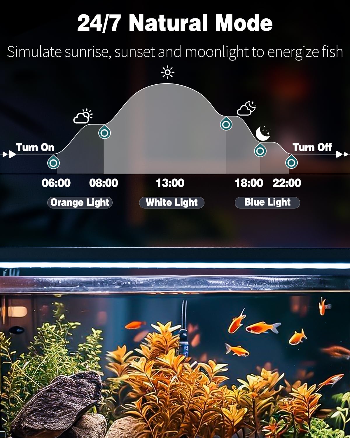 Pawfly modo natural, amanecer y atardecer para ritmo diario del acuario.