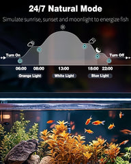 Pawfly modo natural, amanecer y atardecer para ritmo diario del acuario.