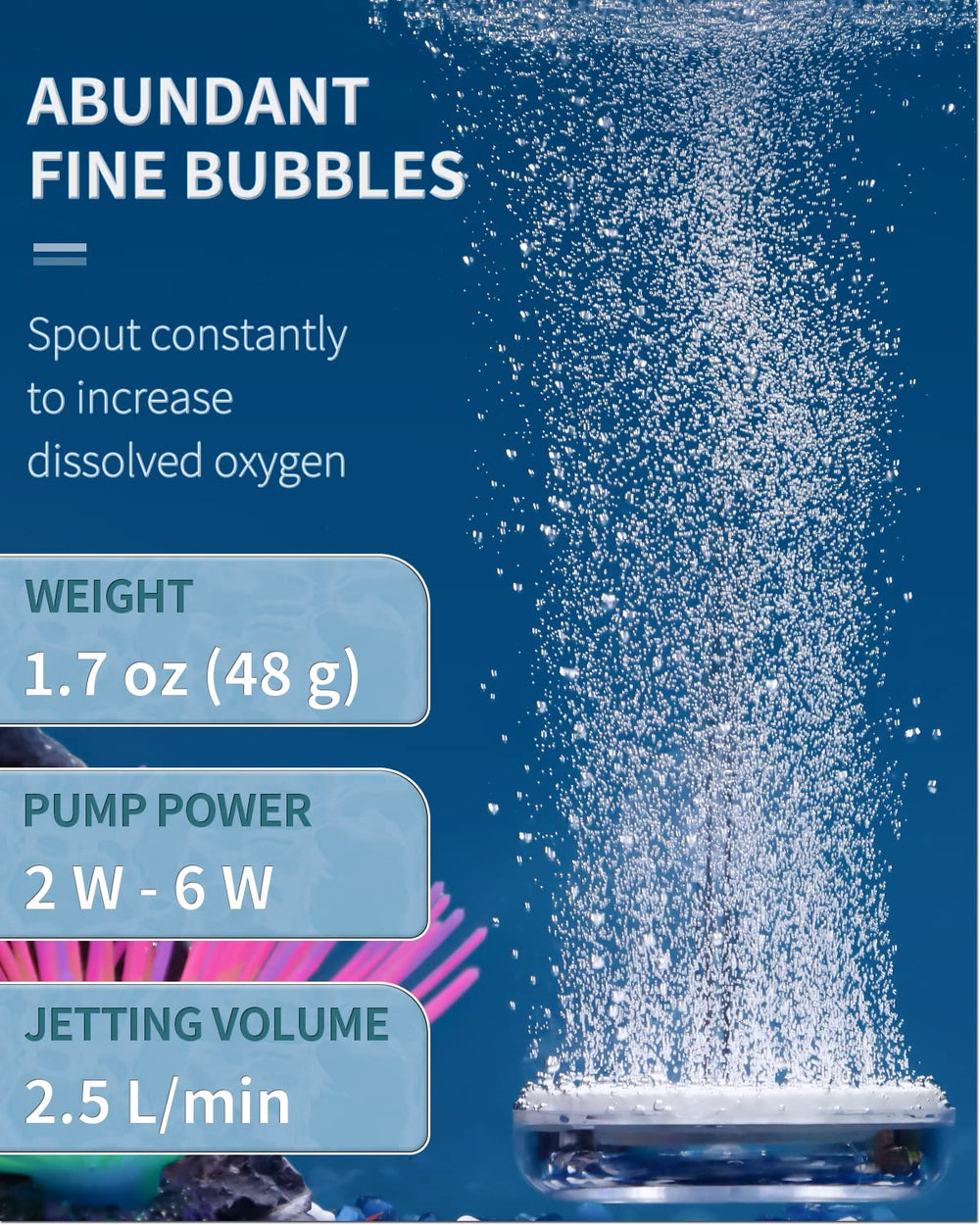 Pawfly en acuario pequeño, piedra de aire disc generando burbujas constantes para oxigenación.