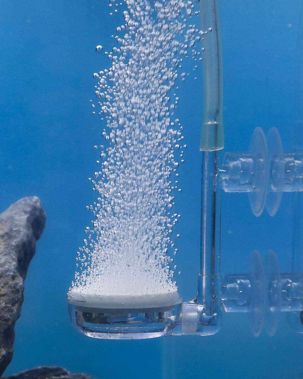 Pawfly Piedra de Aire para acuario genera burbujas finas para mejor oxigenación.
