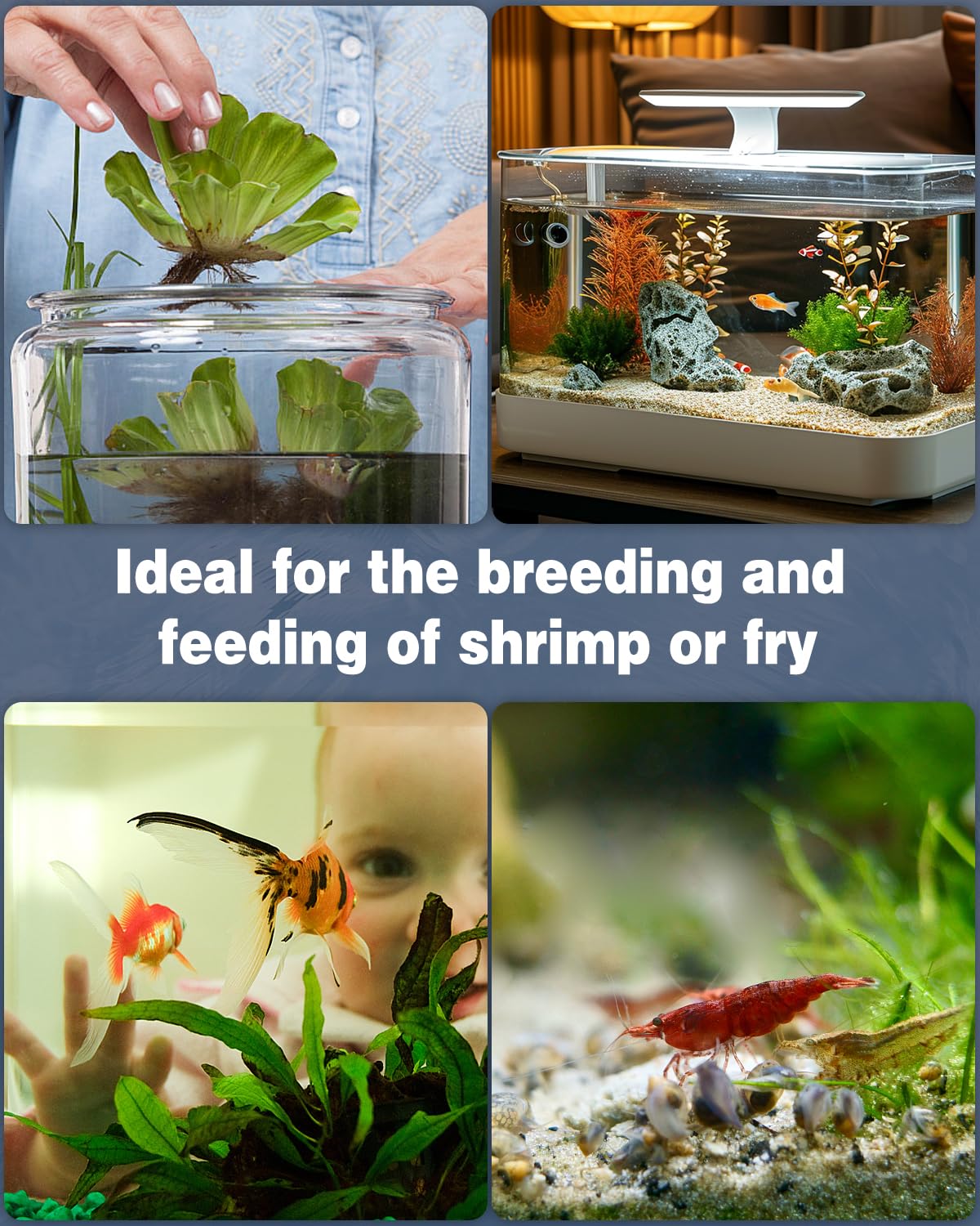 Pawfly compatibilidad para acuarios de 20-40 galones, ideal para diversas especies.