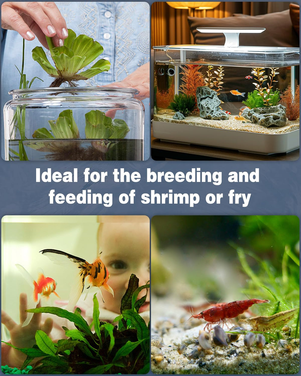 Pawfly compatibilidad para acuarios de 20-40 galones, ideal para diversas especies.