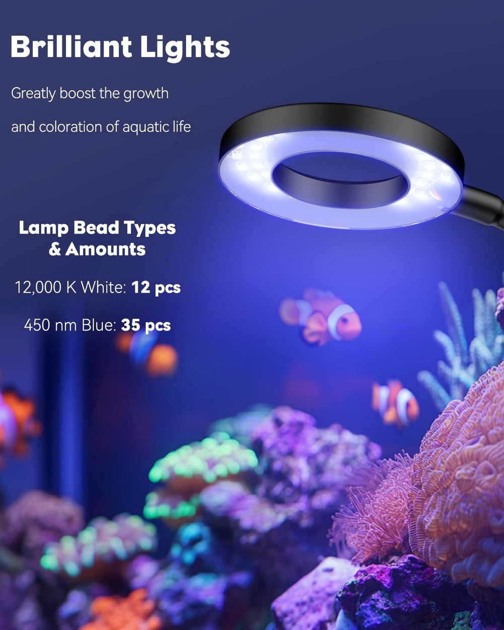Pawfly temporizador incorporado controla la iluminación diaria