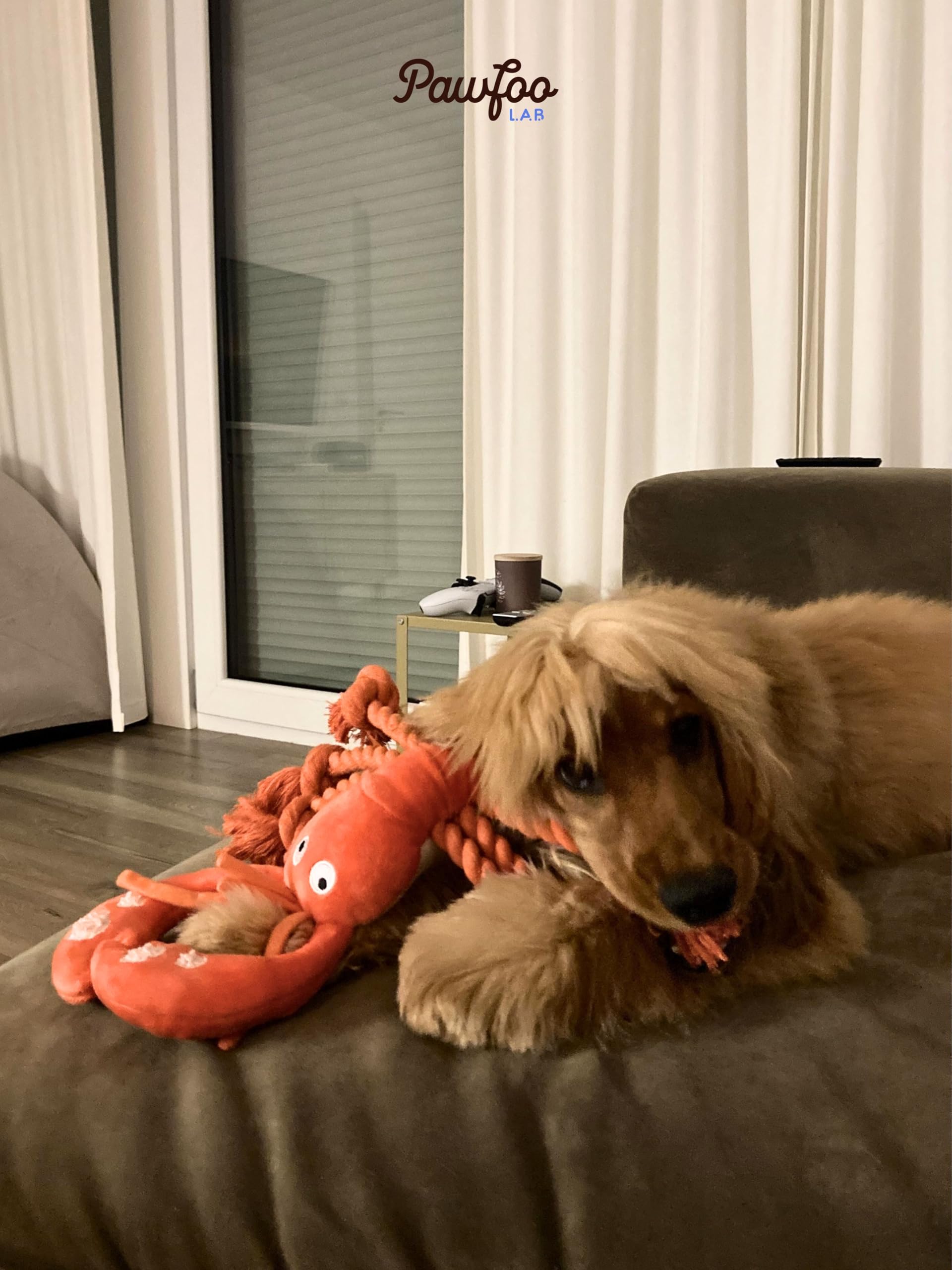 langosta pawfoo lab como regalo para perros durante fiestas