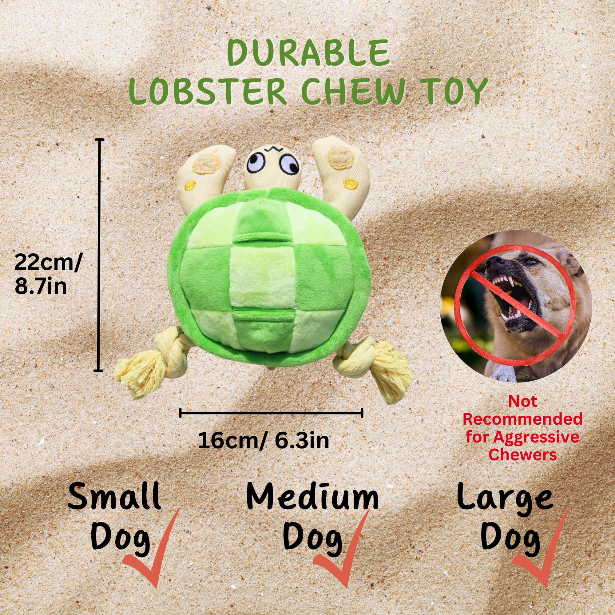 Pawfoo Lab tortuga como regalo para perro recibe juego y estimulación