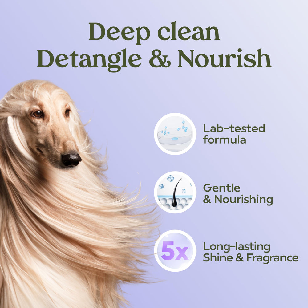 PAWFUME fórmula hipoalergénica para piel sensible de perros.