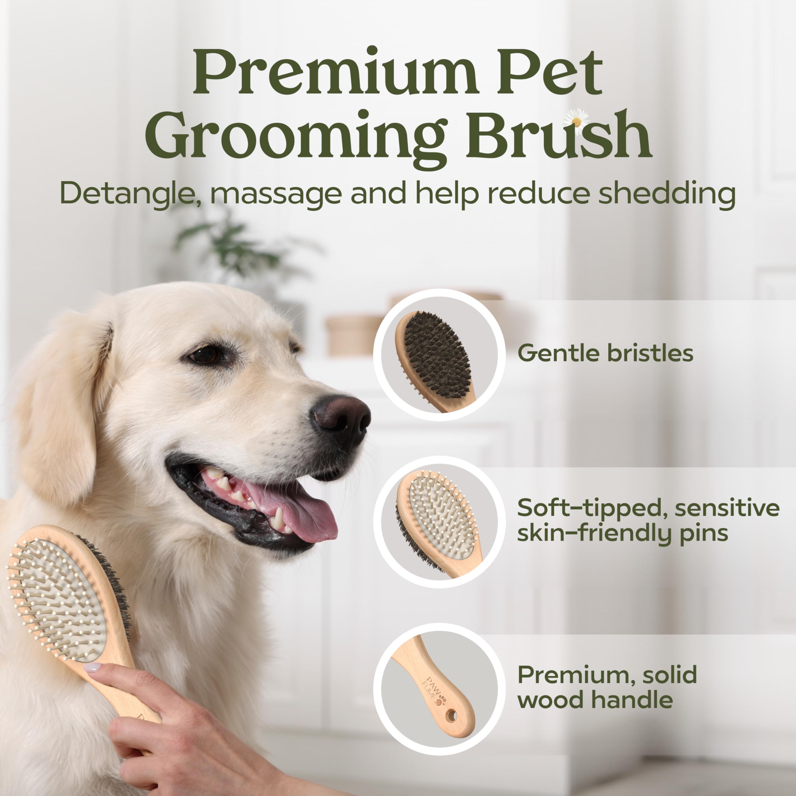 Embalaje regalo Pawfume: diseño robusto para regalo perfecto.