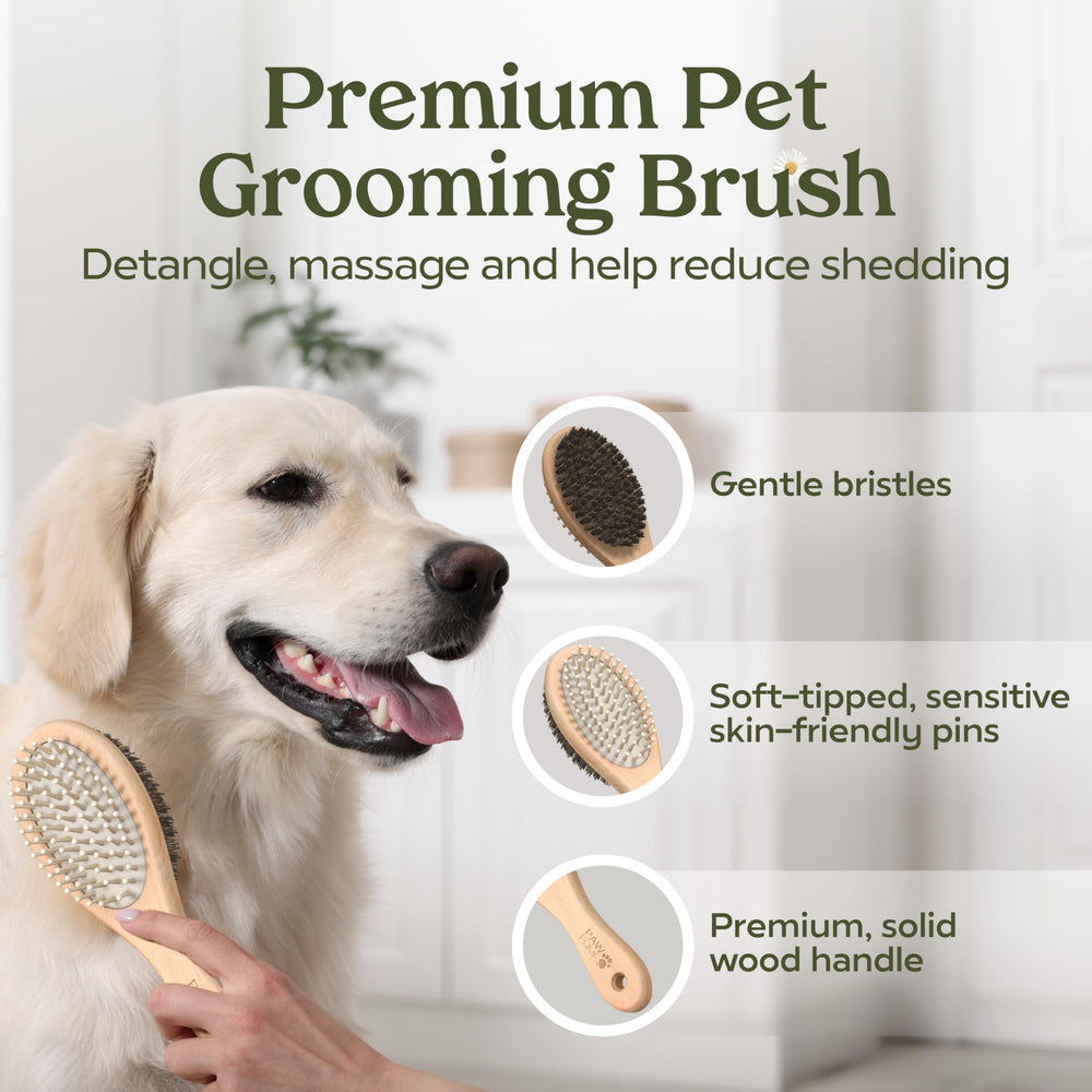 Embalaje regalo Pawfume: diseño robusto para regalo perfecto.