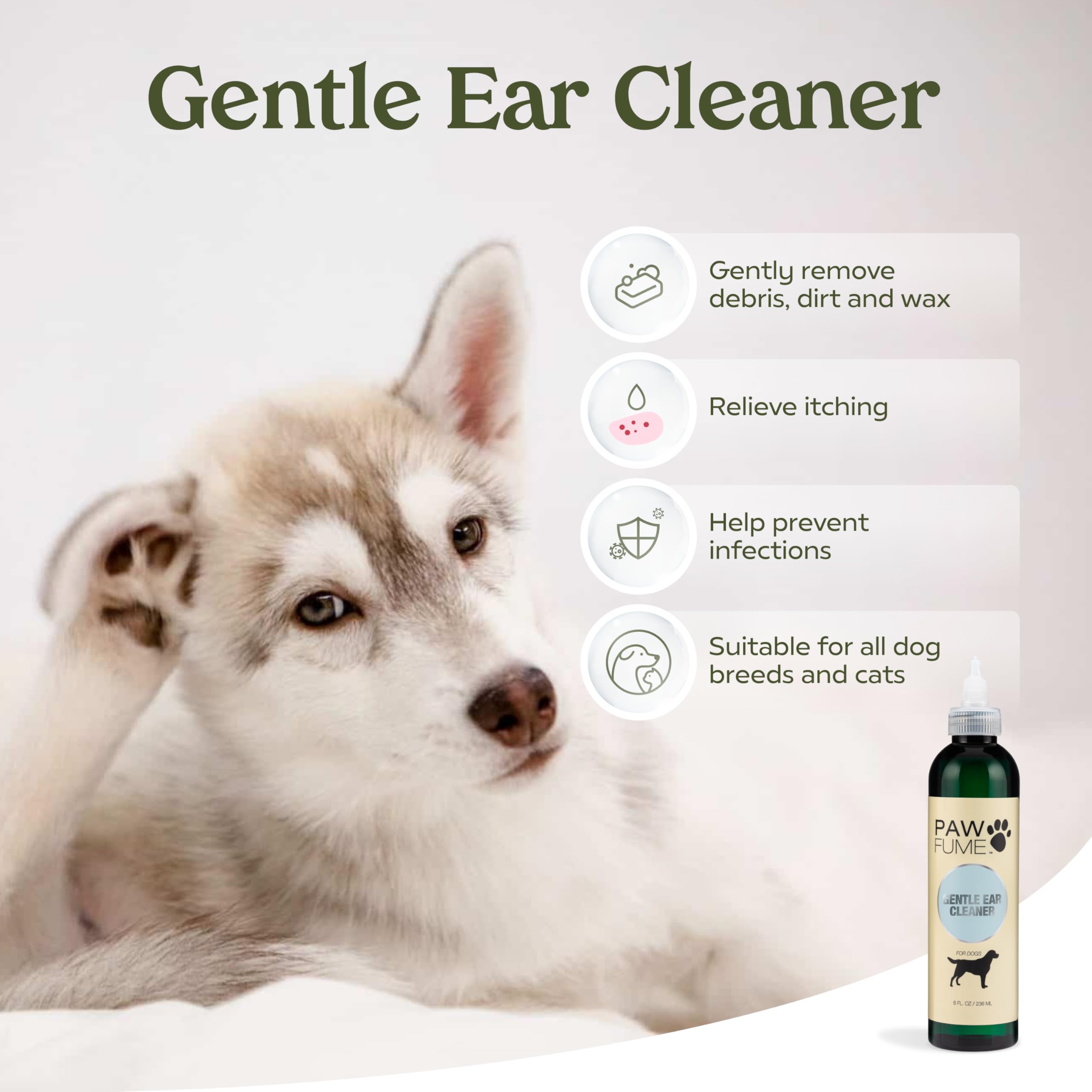 Spa en casa Pawfume: experiencia de mimo para pelaje brillante.