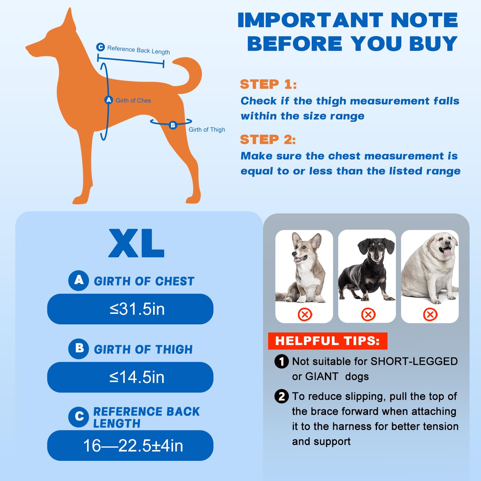 Pawfun ajuste-facil-correas-perro: ajuste rápido y cómodo para adaptarse.