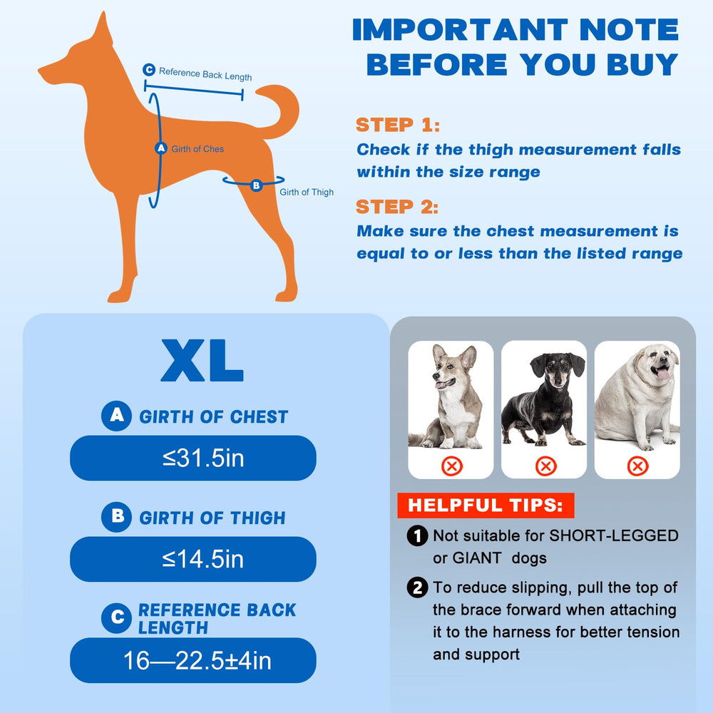 Pawfun ajuste-facil-correas-perro: ajuste rápido y cómodo para adaptarse.