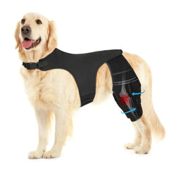Pawfun banda-rodilla-perro-ajuste-rapido: soporte directo para movilidad diaria.
