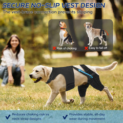 Pawfun correas ajustables para un ajuste seguro y cómodo.