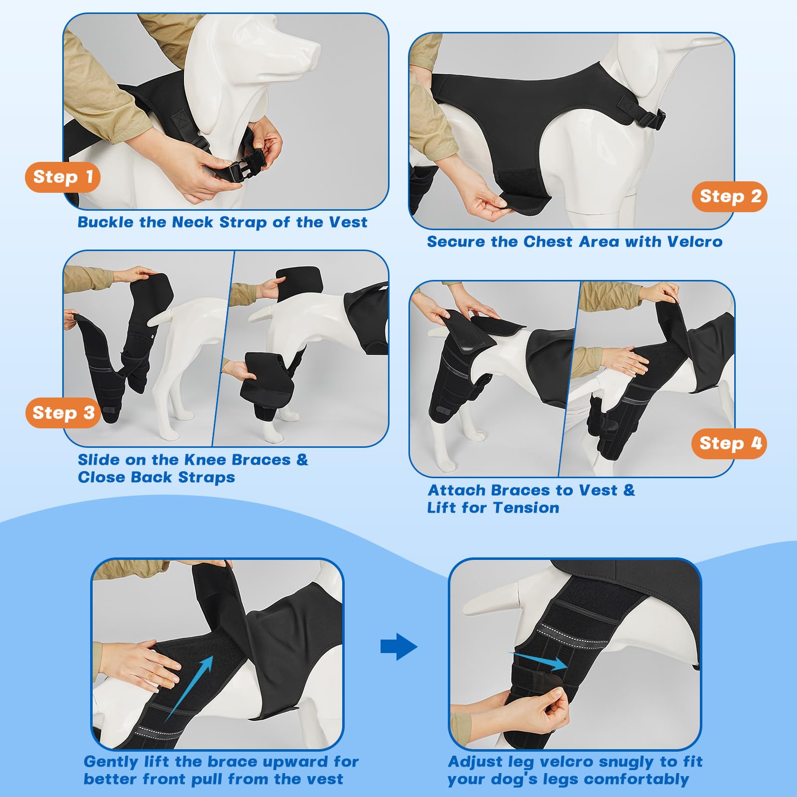Pawfun diseño-ergonomico-movilidad-perro: movimientos naturales con soporte estable.