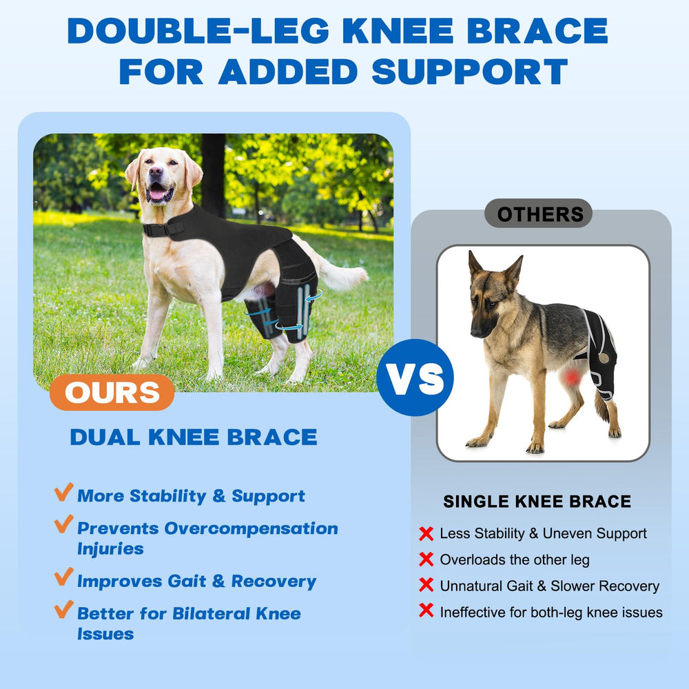 Pawfun estabilizadores-metal-rodilla-perro: alineación de la articulación para uso diario y juego.